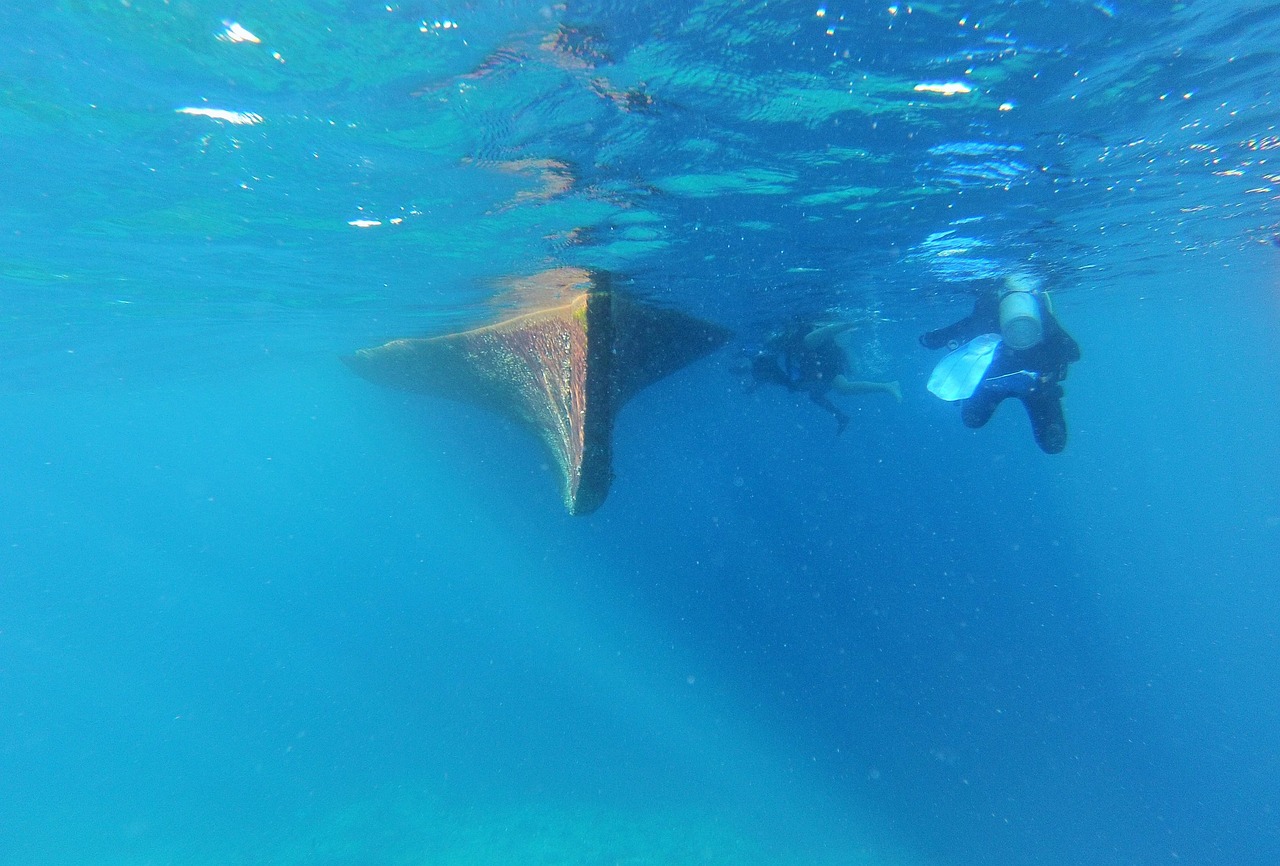 Que título necesito para ser patrón de embarcaciones de Buceo.