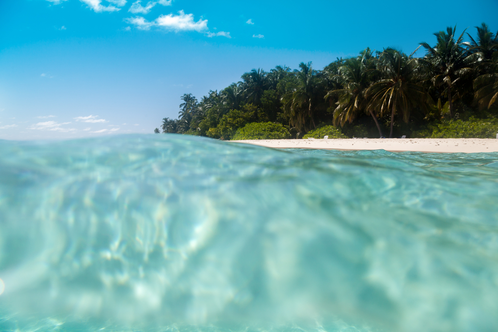 Embárcate del Mediterráneo al Caribe